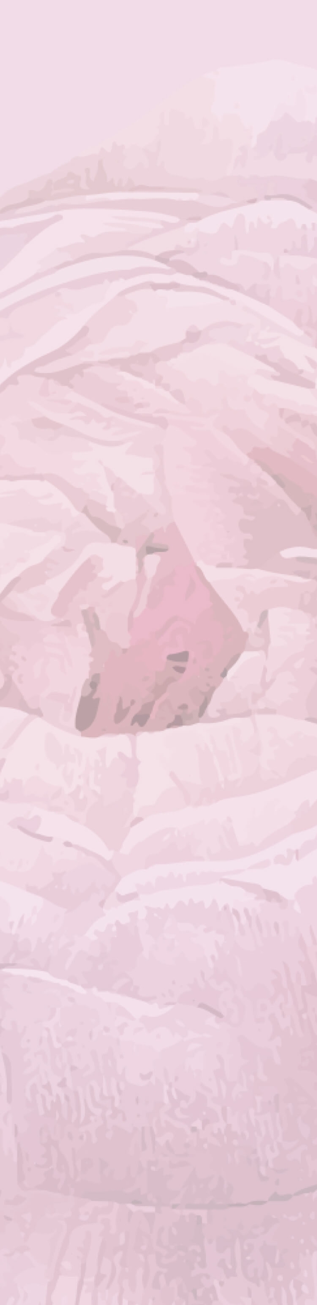 Section background mobile image