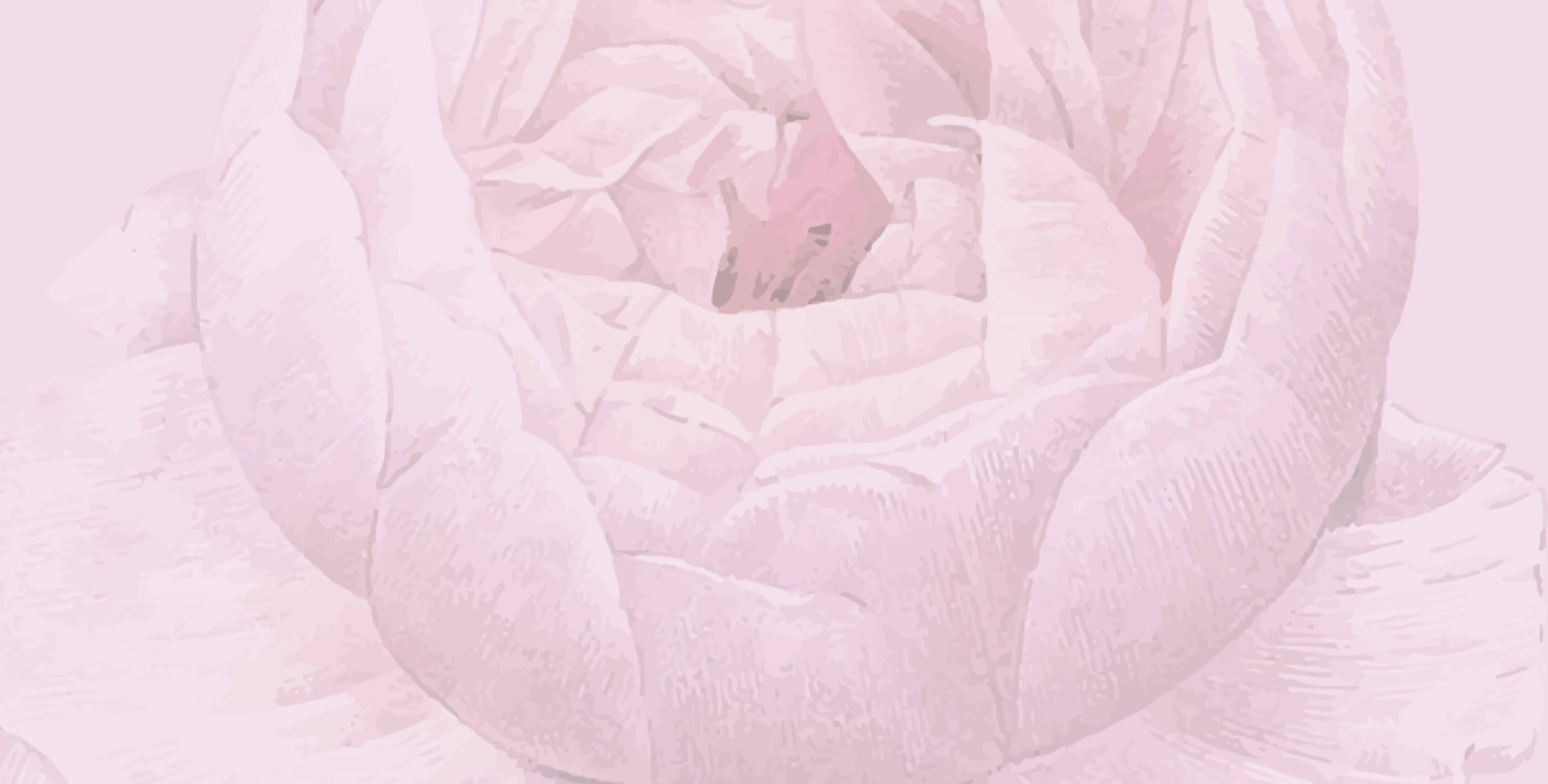 Section background image