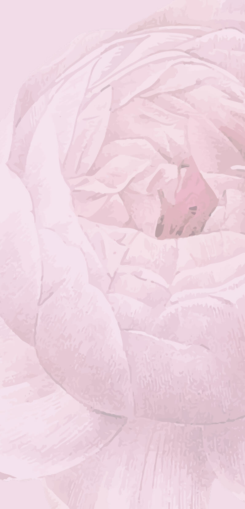 Section background image with rose